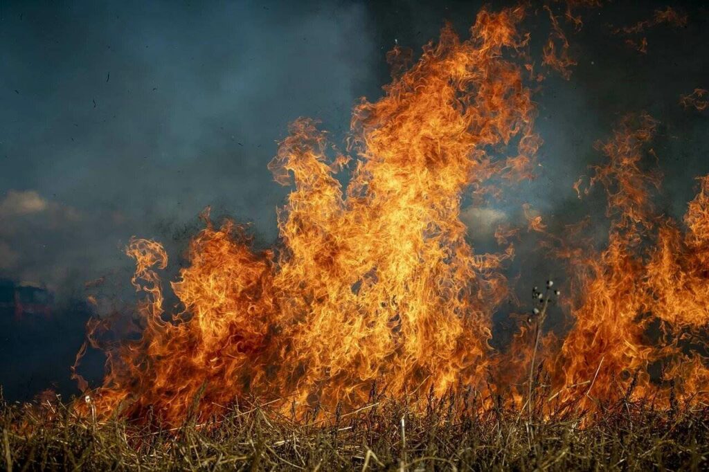 Przerażająca ilość pożarów traw w województwie